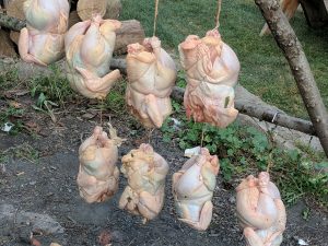 Beginning cooking chicken at Farm Dinner