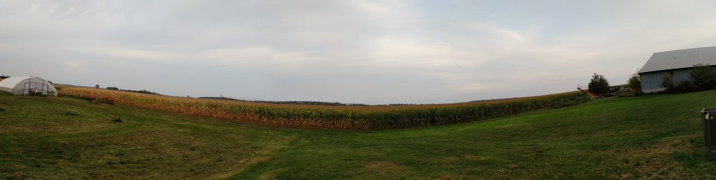 Farm Panorama